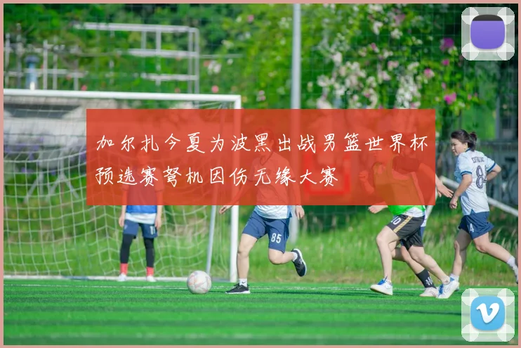 加尔扎今夏为波黑出战男篮世界杯预选赛弩机因伤无缘大赛